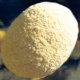 sparrowland002013.jpg